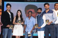 Golden Chance Movie Audio Launch